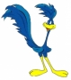 ROADRUNNERs Avatar